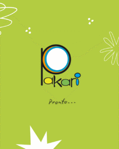 pakari_2_6